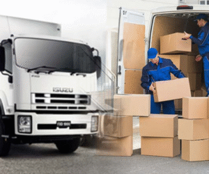 Steps Involved In Packing The Consignment